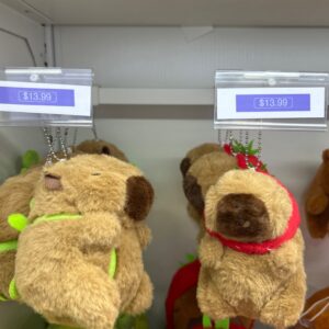 Capy Keychains w/ accessories